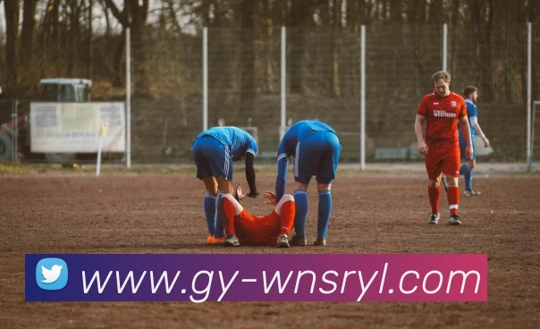 威尼斯人官网服务体系